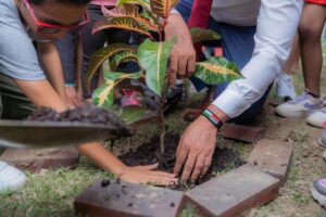 Iniciamos la reconstrucción del parque El Niño