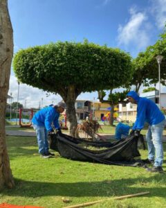 Áreas verdes con cuidado permanente