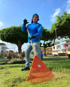 Áreas verdes con cuidado permanente