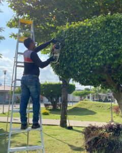 Áreas verdes con cuidado permanente