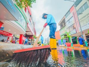 Limpieza, recuperación y orden en la zona regenerada