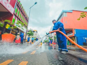 Limpieza, recuperación y orden en la zona regenerada