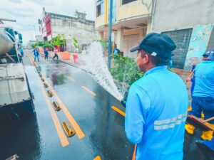 Limpieza, recuperación y orden en la zona regenerada