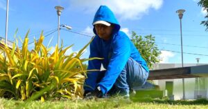 Áreas verdes con cuidado permanente