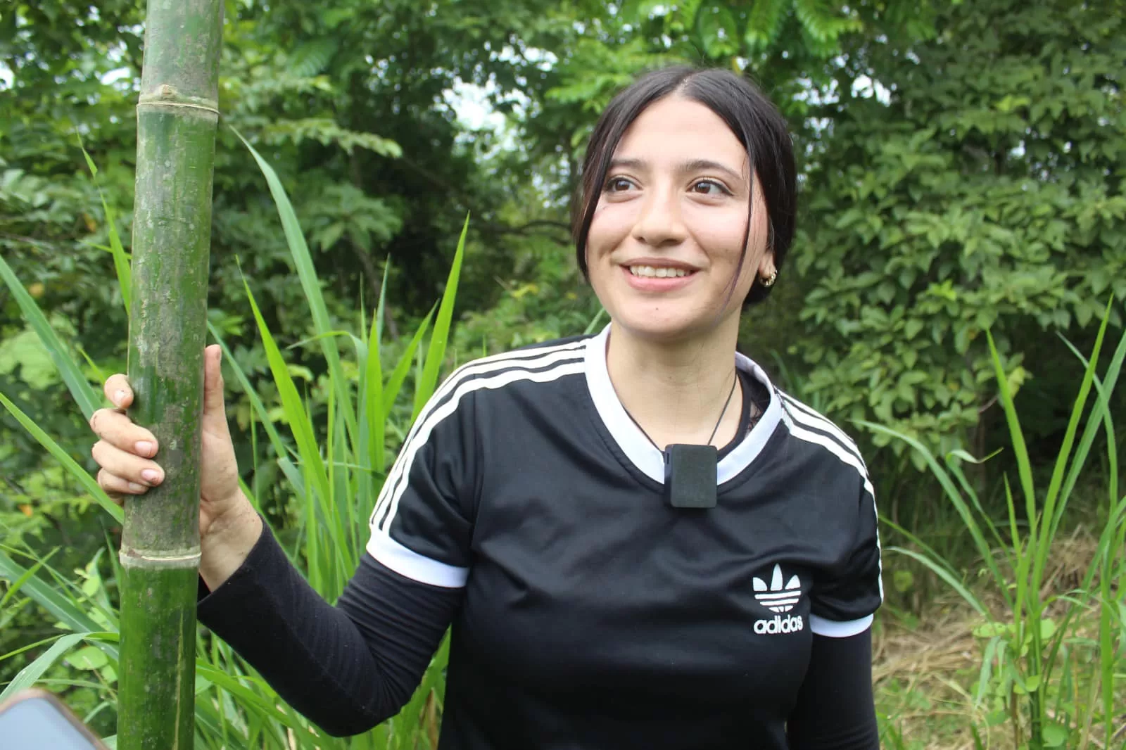 El Poder del Bambú para la Conservación Ambiental