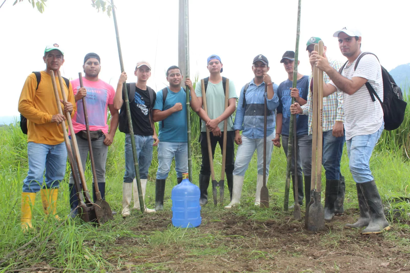 El Poder del Bambú para la Conservación Ambiental