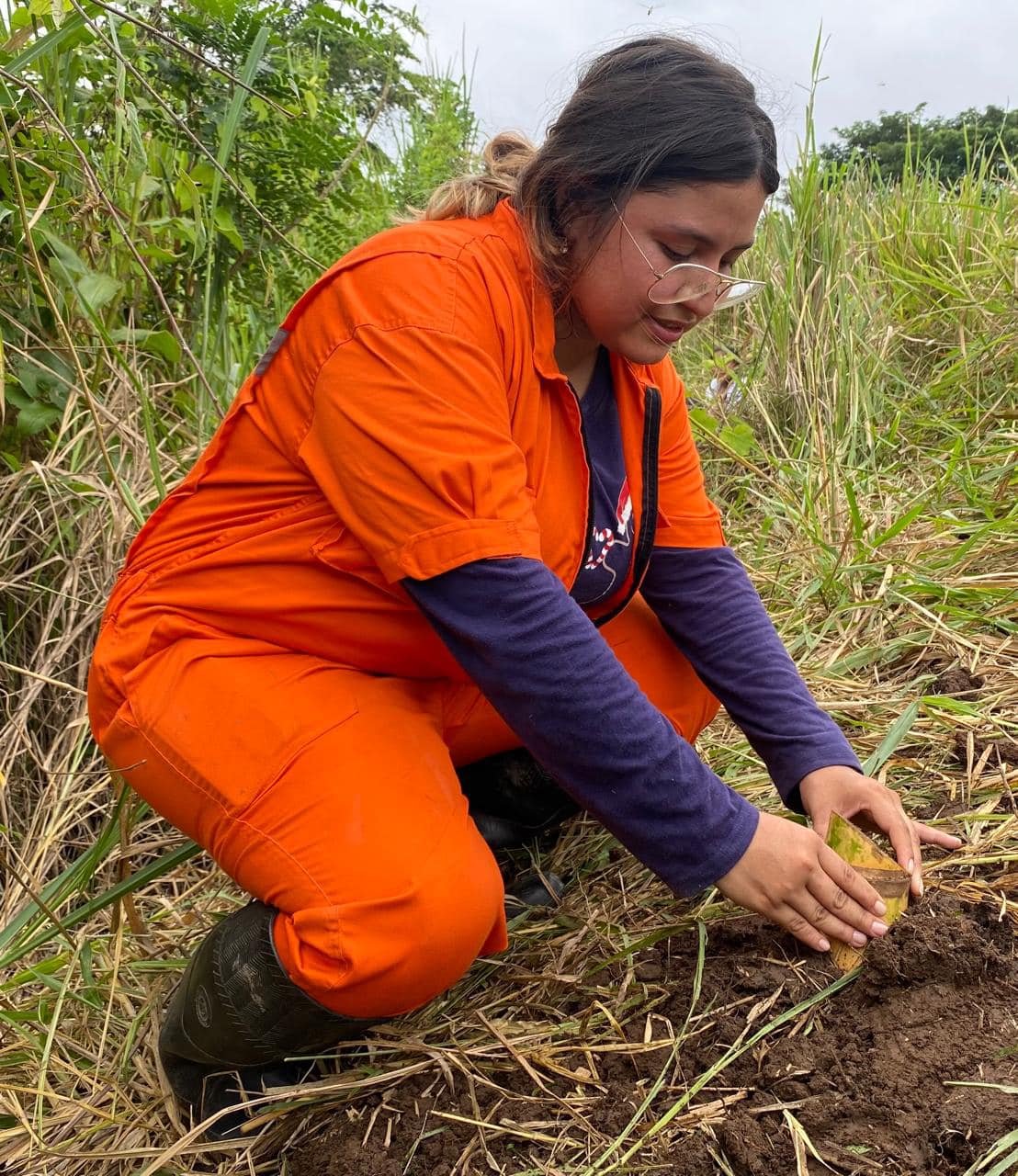 El Poder del Bambú para la Conservación Ambiental