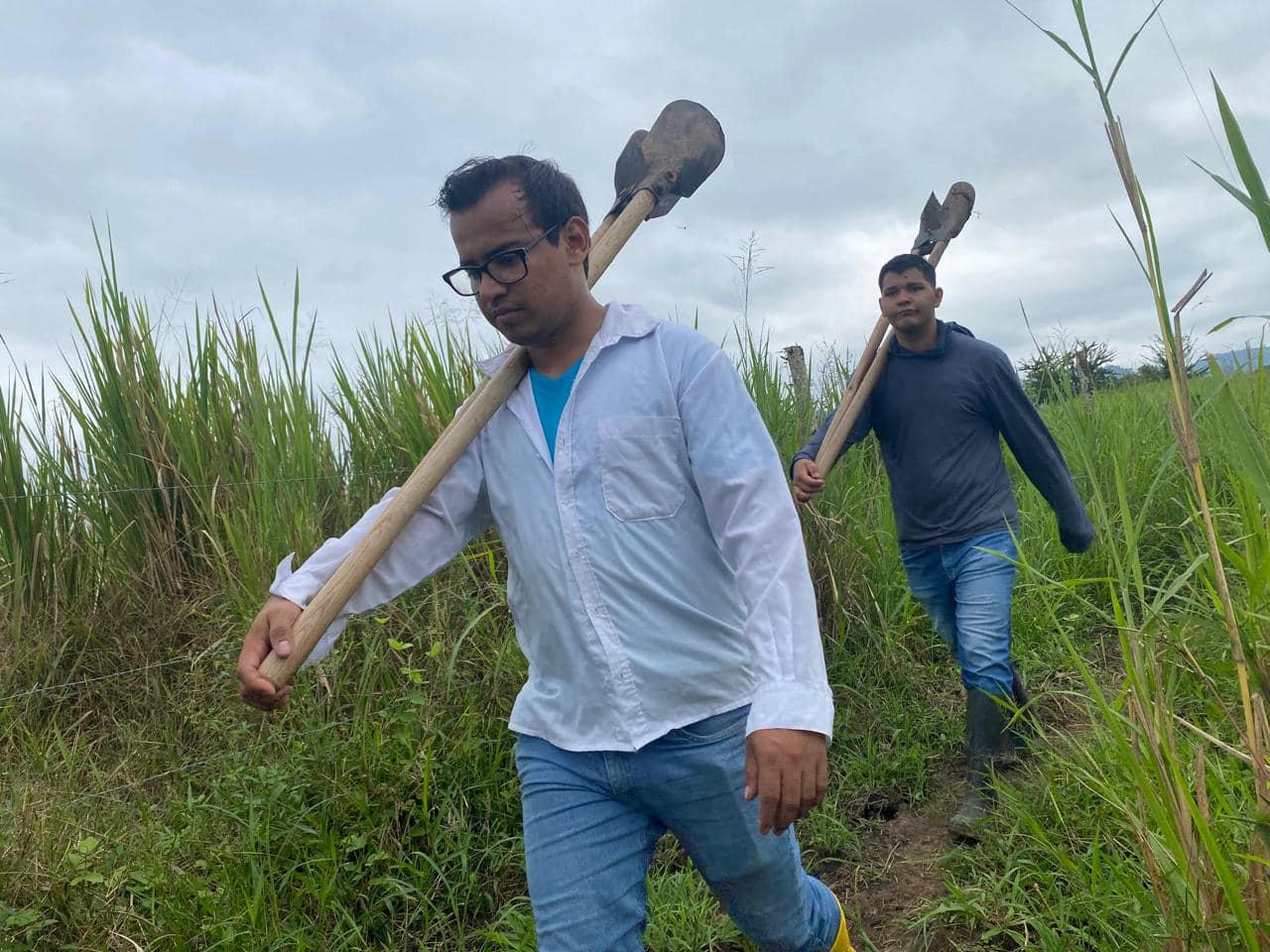 El Poder del Bambú para la Conservación Ambiental