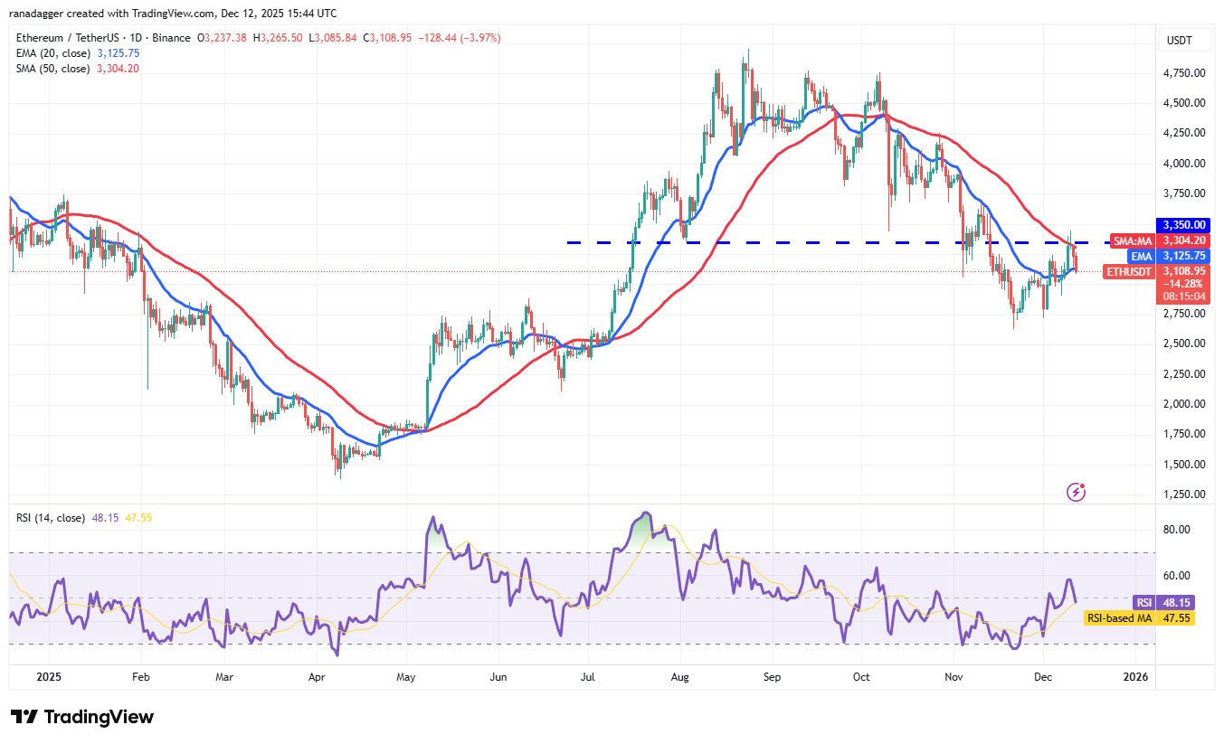 Predicciones de precios del 12 de diciembre: BTC, ETH, BNB, XRP, SOL, DOGE, ADA, BCH, HYPE, LINK Predicciones de precios del 12 de diciembre: BTC, ETH, BNB, XRP, SOL, DOGE, ADA, BCH, HYPE, LINK