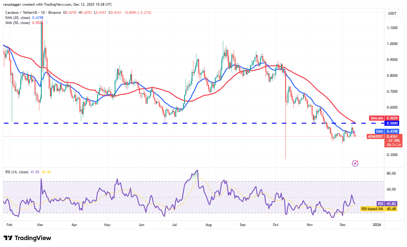 Predicciones de precios del 12 de diciembre: BTC, ETH, BNB, XRP, SOL, DOGE, ADA, BCH, HYPE, LINK Predicciones de precios del 12 de diciembre: BTC, ETH, BNB, XRP, SOL, DOGE, ADA, BCH, HYPE, LINK