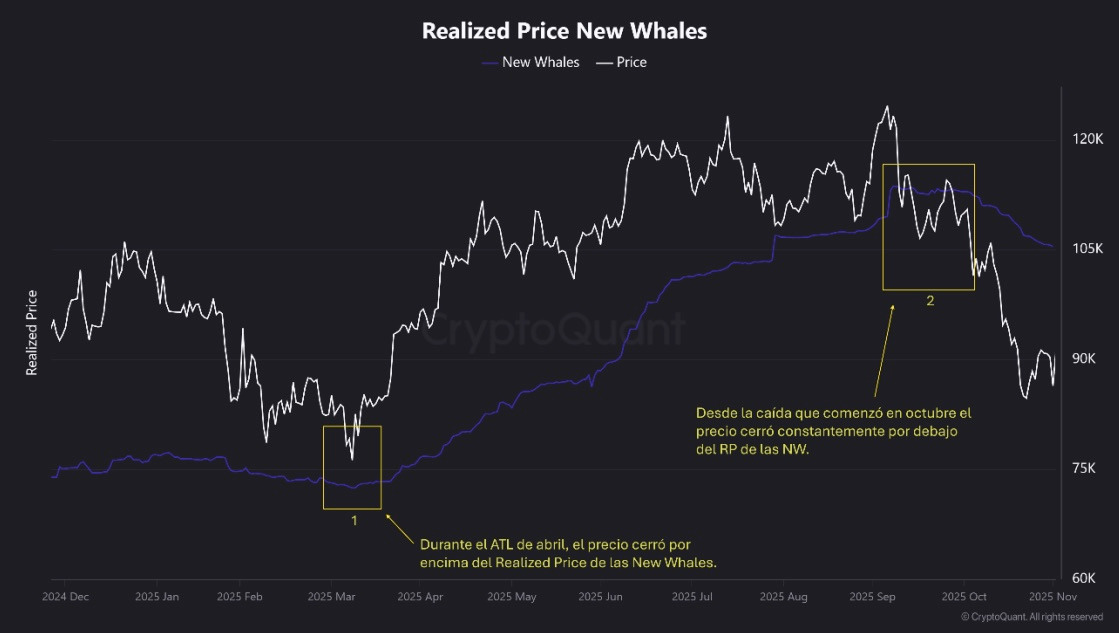 El momento es propicio para posiciones en Bitcoin a largo plazo, según analista El momento es propicio para posiciones en Bitcoin a largo plazo, según analista