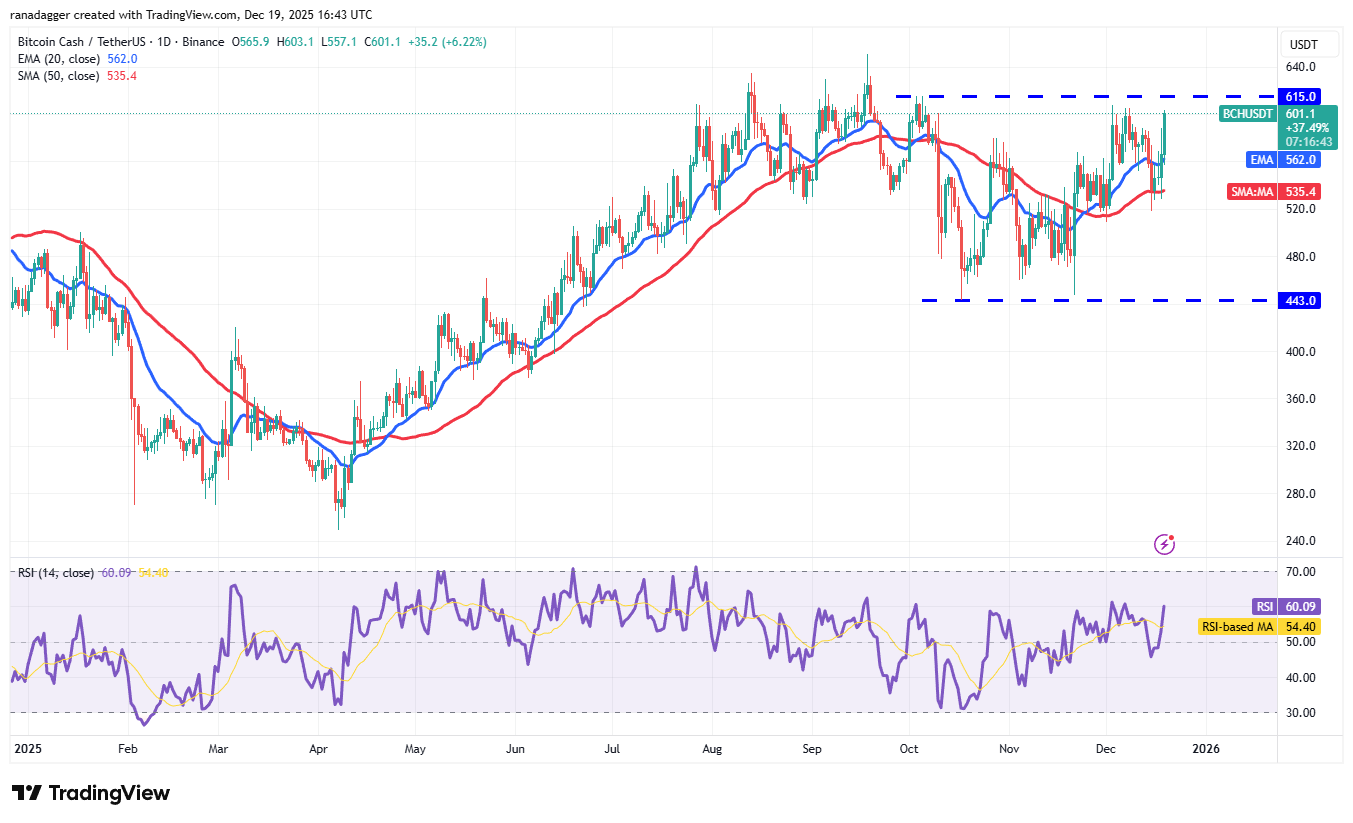 Predicciones de precios del 19 de diciembre: BTC, ETH, BNB, XRP, SOL, DOGE, ADA, BCH, HYPE, LINK Predicciones de precios del 19 de diciembre: BTC, ETH, BNB, XRP, SOL, DOGE, ADA, BCH, HYPE, LINK