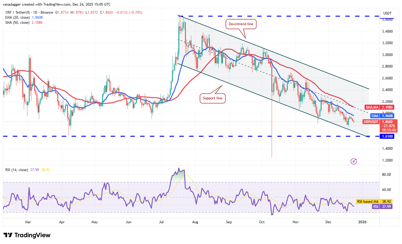 Predicciones de precios del 24 de diciembre: BTC, ETH, BNB, XRP, SOL, DOGE, ADA, BCH, LINK, HYPE Predicciones de precios del 24 de diciembre: BTC, ETH, BNB, XRP, SOL, DOGE, ADA, BCH, LINK, HYPE