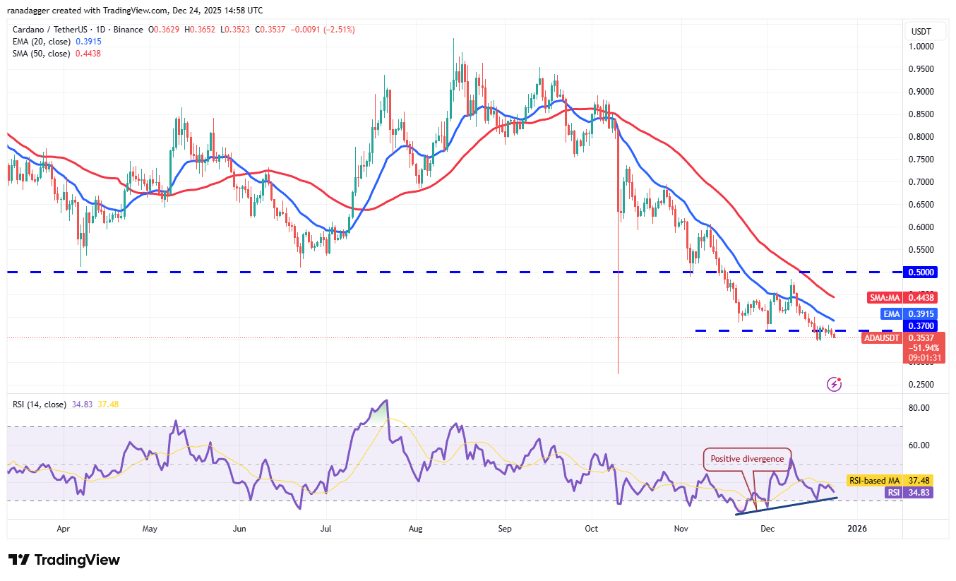 Predicciones de precios del 24 de diciembre: BTC, ETH, BNB, XRP, SOL, DOGE, ADA, BCH, LINK, HYPE Predicciones de precios del 24 de diciembre: BTC, ETH, BNB, XRP, SOL, DOGE, ADA, BCH, LINK, HYPE