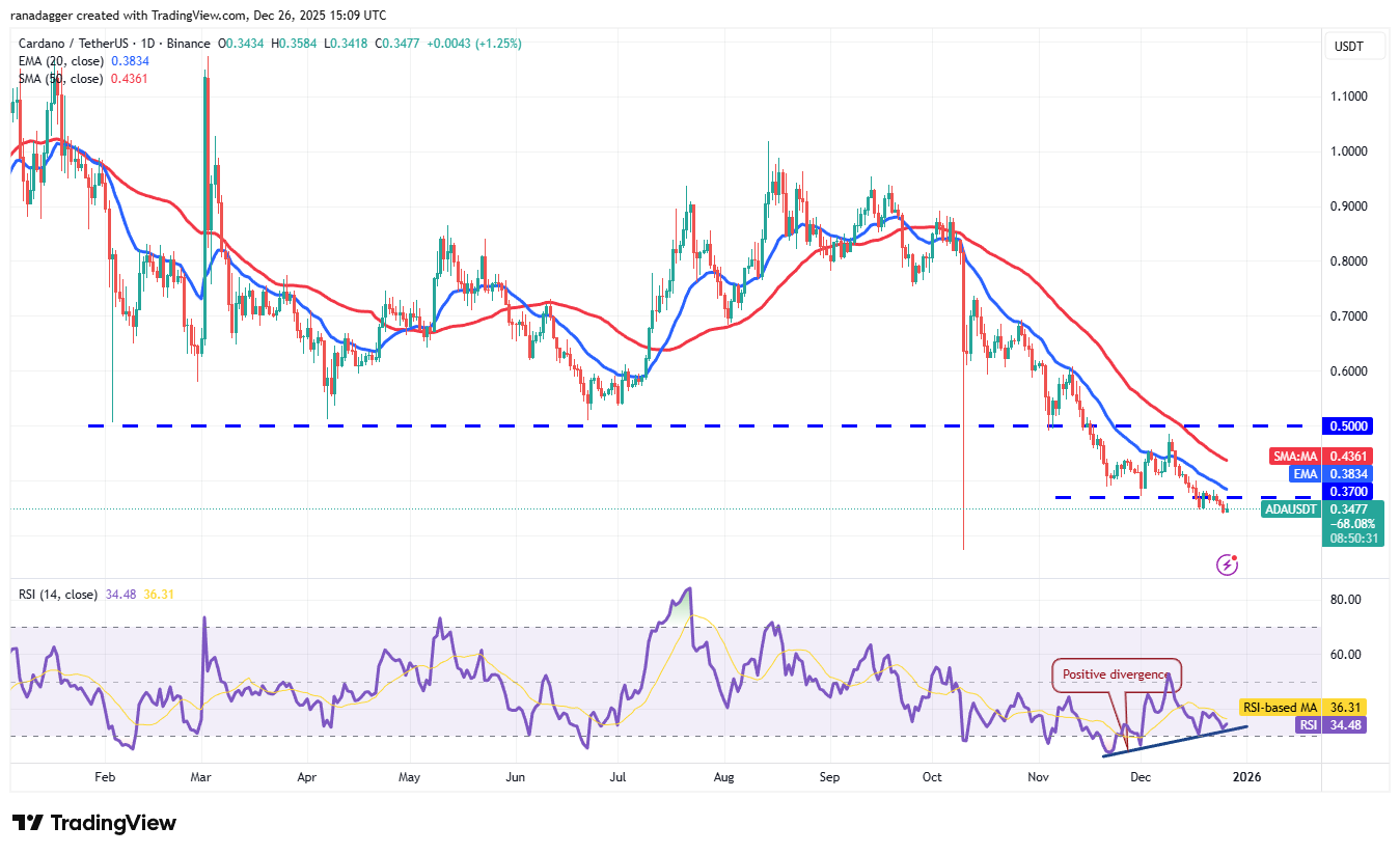 Predicciones de precios al 26/12: BTC, ETH, BNB, XRP, SOL, DOGE, ADA, BCH, LINK, HYPE Predicciones de precios al 26/12: BTC, ETH, BNB, XRP, SOL, DOGE, ADA, BCH, LINK, HYPE