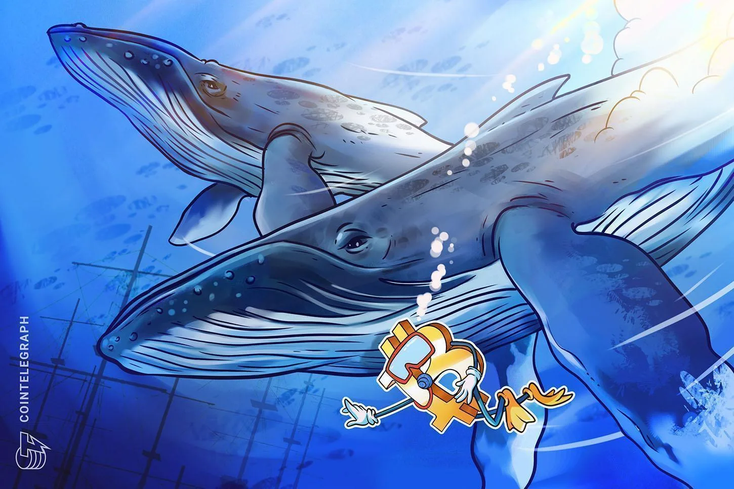 Nuevas ballenas de Bitcoin reescriben la estructura del mercado de BTC Cointelegraph
