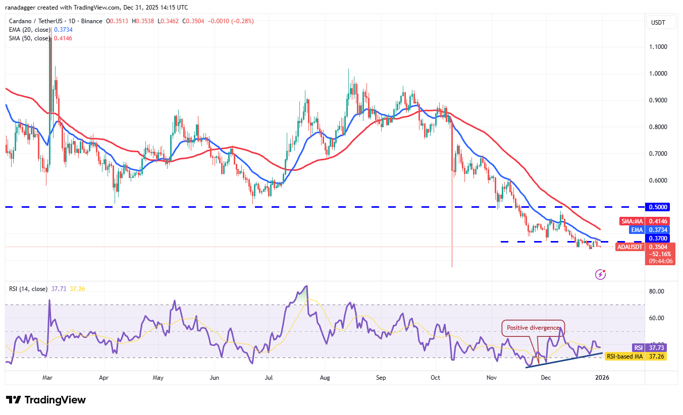 Predicciones de precios al 31/12: BTC, ETH, BNB, XRP, SOL, DOGE, ADA, BCH, LINK, HYPE Predicciones de precios al 31/12: BTC, ETH, BNB, XRP, SOL, DOGE, ADA, BCH, LINK, HYPE