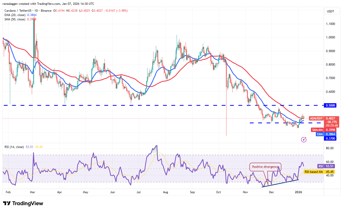 Predicciones de precios del 7 de enero: BTC, ETH, XRP, BNB, SOL, DOGE, ADA, BCH, LINK, HYPE Predicciones de precios del 7 de enero: BTC, ETH, XRP, BNB, SOL, DOGE, ADA, BCH, LINK, HYPE