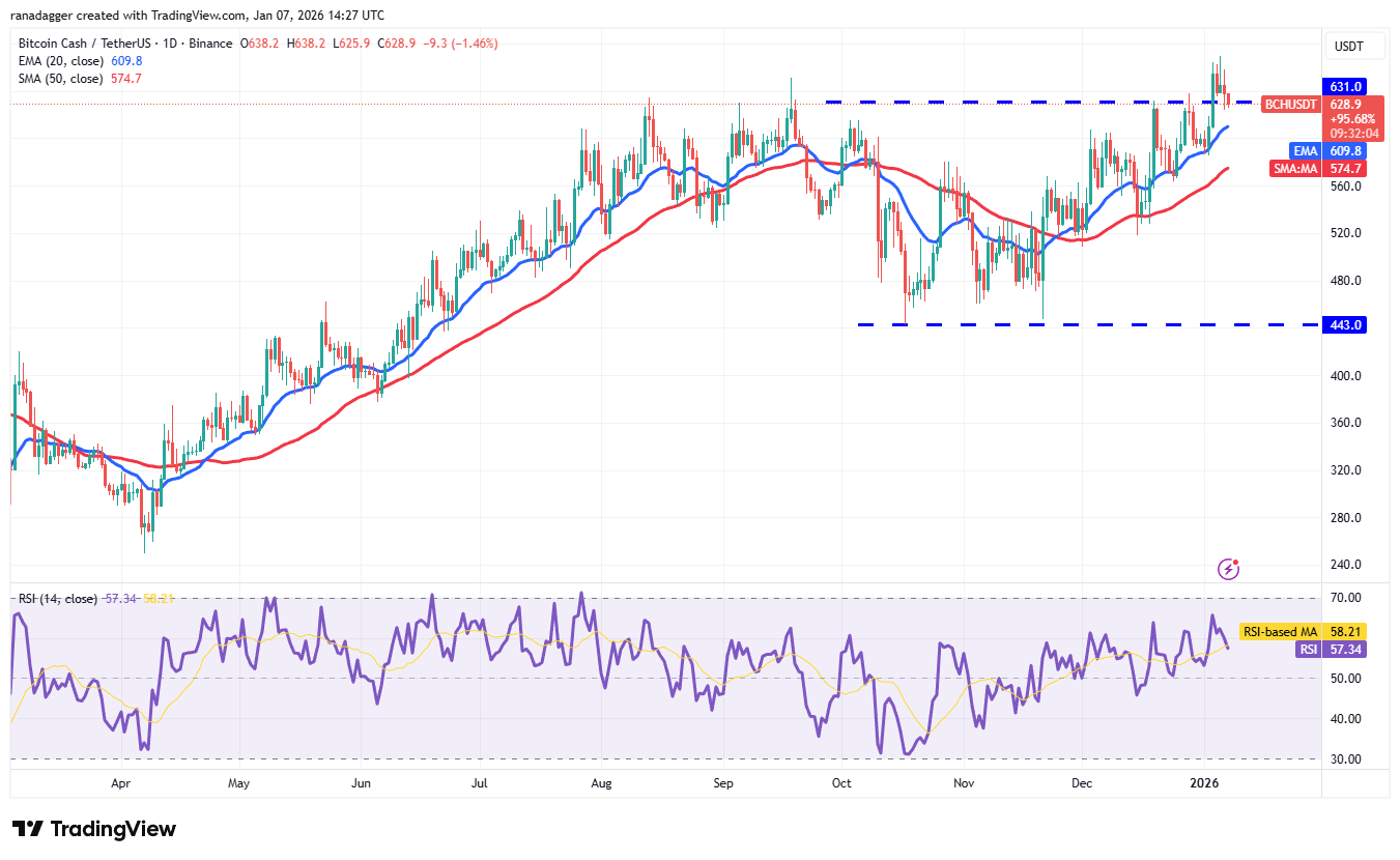 Predicciones de precios del 7 de enero: BTC, ETH, XRP, BNB, SOL, DOGE, ADA, BCH, LINK, HYPE Predicciones de precios del 7 de enero: BTC, ETH, XRP, BNB, SOL, DOGE, ADA, BCH, LINK, HYPE