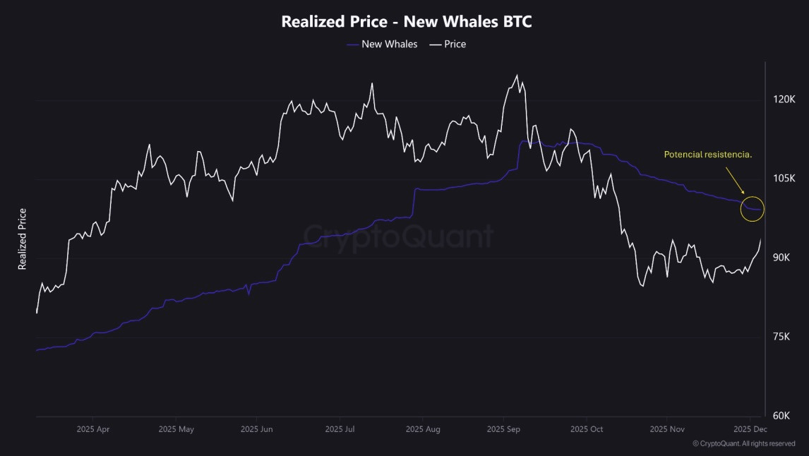 Bitcoin enfrentaría una posible resistencia en torno a los USD 100.000, según analista Bitcoin enfrentaría una posible resistencia en torno a los USD 100.000, según analista