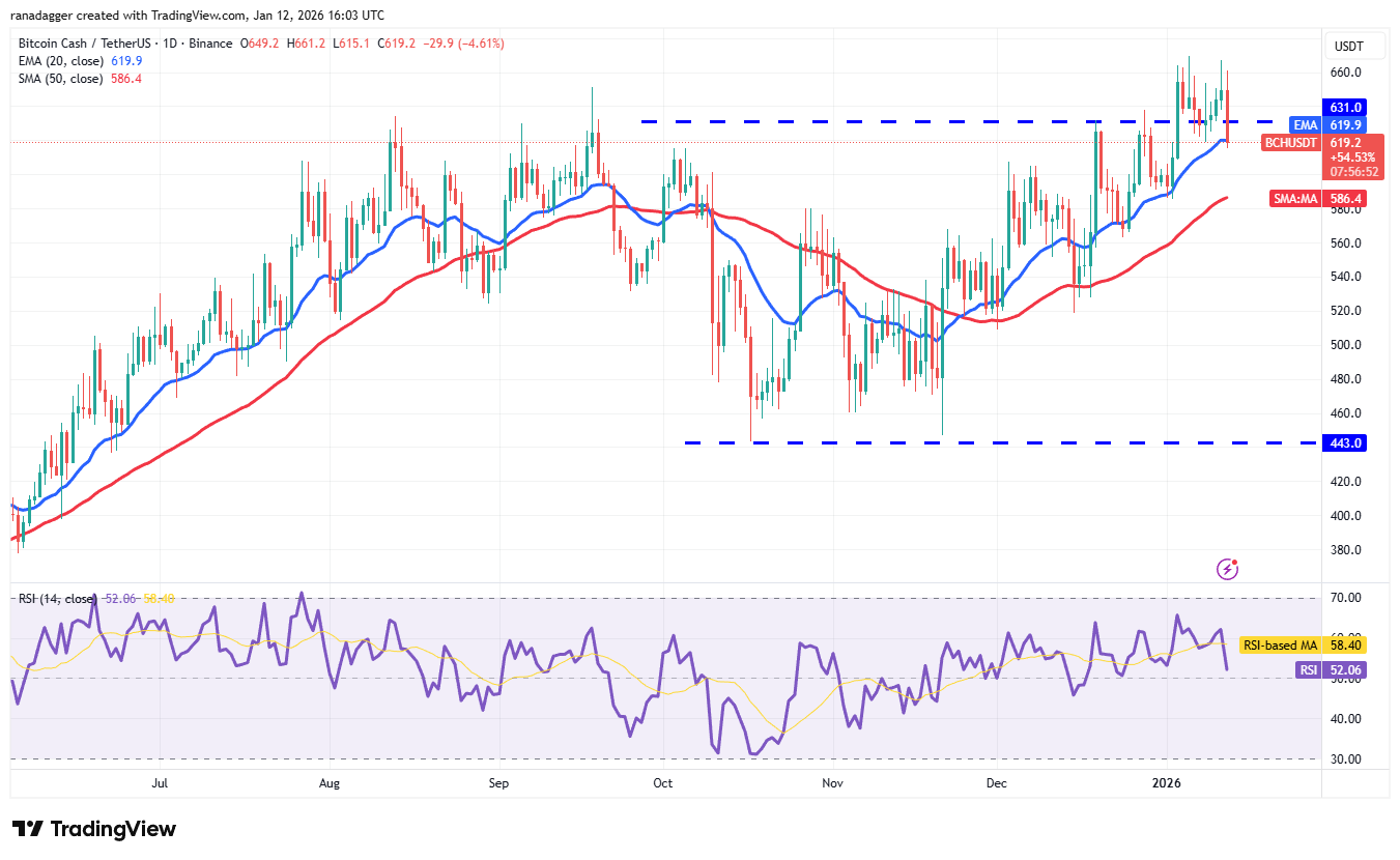 Predicciones de precios del 12 de enero: SPX, DXY, BTC, ETH, XRP, BNB, SOL, DOGE, ADA, BCH Predicciones de precios del 12 de enero: SPX, DXY, BTC, ETH, XRP, BNB, SOL, DOGE, ADA, BCH