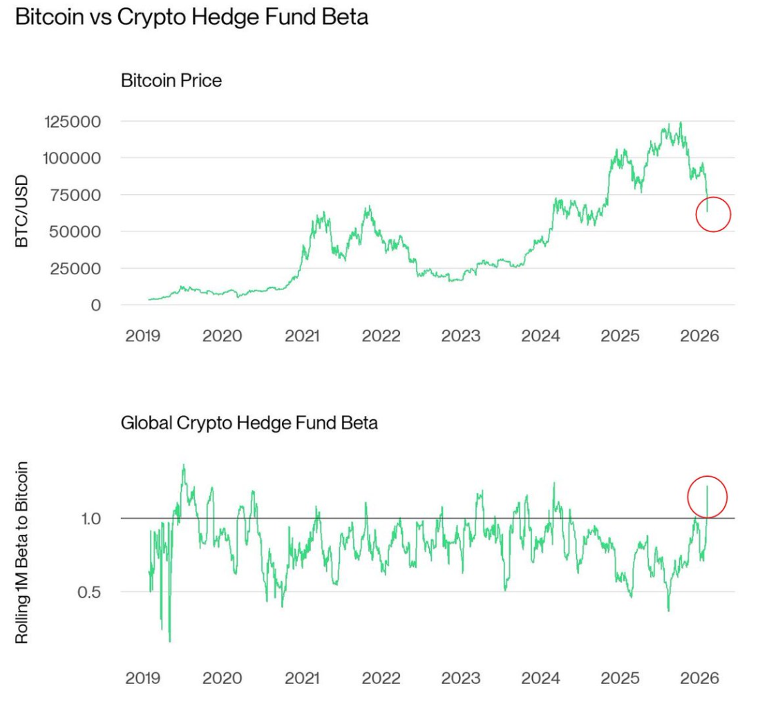 Bitcoin recuperó un 11% y llega a USD 65K: ¿quiénes son los compradores en este nivel? Bitcoin recuperó un 11% y llega a USD 65K: ¿quiénes son los compradores en este nivel?