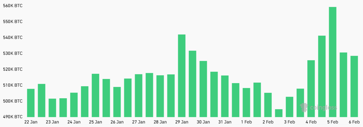 Bitcoin se recuperó hasta los 71.500 dólares tras una caída histórica, pero las métricas de derivados siguen siendo débiles Bitcoin se recuperó hasta los 71.500 dólares tras una caída histórica, pero las métricas de derivados siguen siendo débiles