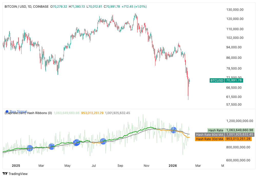 Traders de BTC esperan un mínimo de 50.000 dólares: cinco cosas a tener en cuenta sobre Bitcoin esta semana Traders de BTC esperan un mínimo de 50.000 dólares: cinco cosas a tener en cuenta sobre Bitcoin esta semana