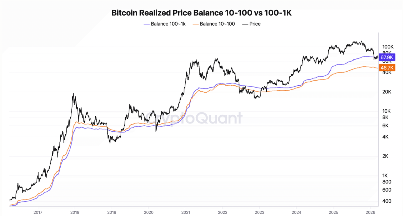 Traders creen que Bitcoin aún se encamina hacia una "nueva caída" que podría hundir el precio hasta los 46.000 dólares Traders creen que Bitcoin aún se encamina hacia una "nueva caída" que podría hundir el precio hasta los 46.000 dólares